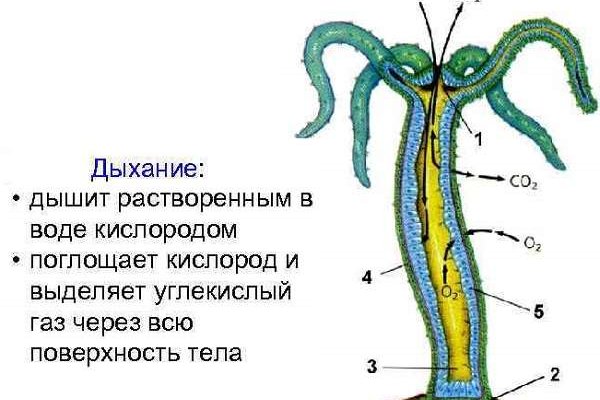 Kra9.gl