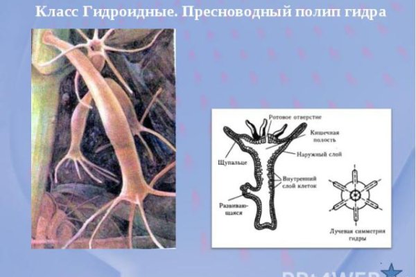 Ссылка кракена kraken clear com