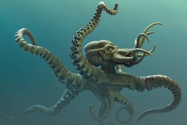 Kraken ссылка сайт kraken clear com