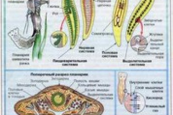 Кракен даркнет отменился заказ
